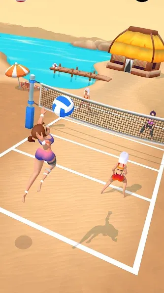 Beach Volleyball Game (Бичволлейбол игра)  [МОД Все открыто] Screenshot 1