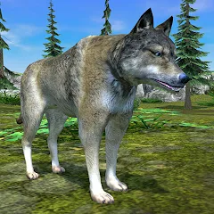 Скачать взлом Wolf Simulator - Animal Games  [МОД Mega Pack] - последняя версия apk на Андроид