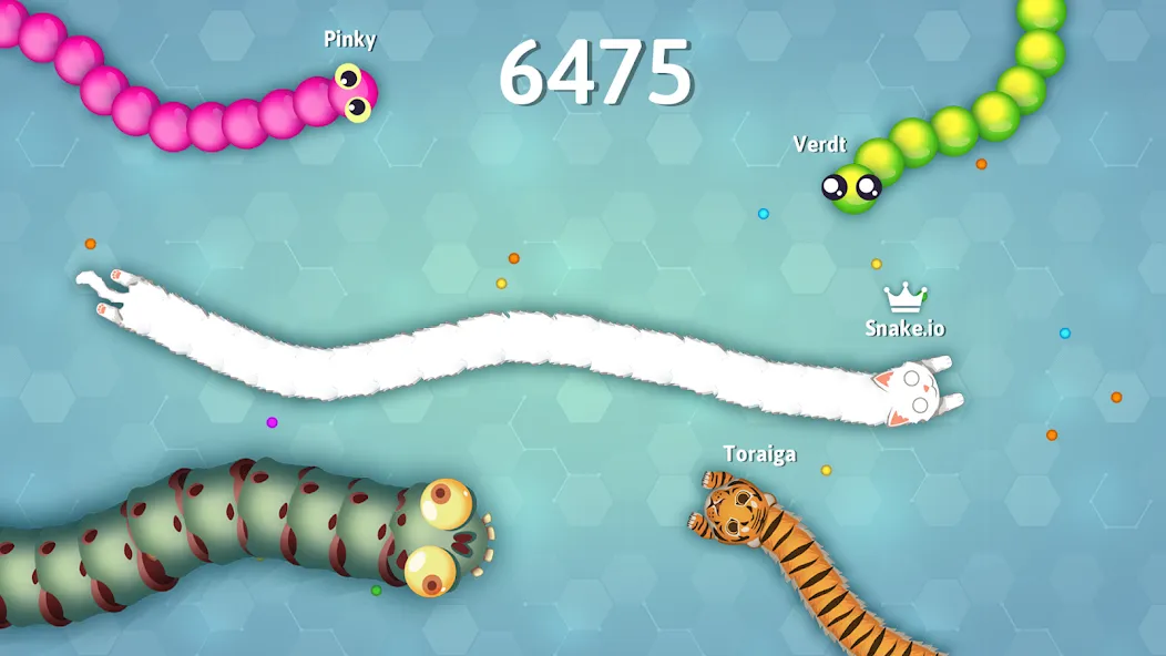 Snake.io - Fun Snake .io Games  [МОД Unlimited Money] Screenshot 5