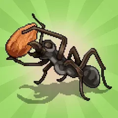 Взлом Pocket Ants: Colony Simulator (Покет Муравьи)  [МОД Бесконечные деньги] - последняя версия apk на Андроид