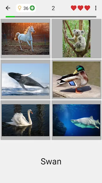 Guess Pictures and Words Quiz  [МОД Много денег] Screenshot 2