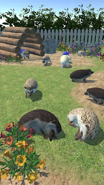 Hedgehog Friends (Хеджхог Френдс)  [МОД Бесконечные деньги] Screenshot 1