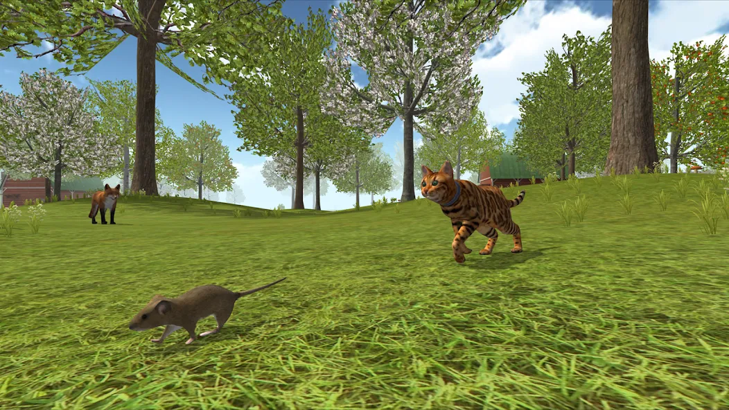 Cat Simulator : Kitties Family  [МОД Unlimited Money] Screenshot 4