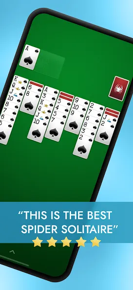 Spider Solitaire  [МОД Все открыто] Screenshot 1