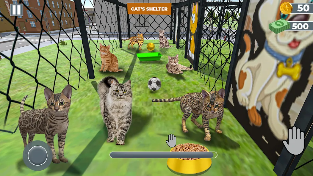 Animal Shelter: Pet Rescue 3D  [МОД Бесконечные деньги] Screenshot 2