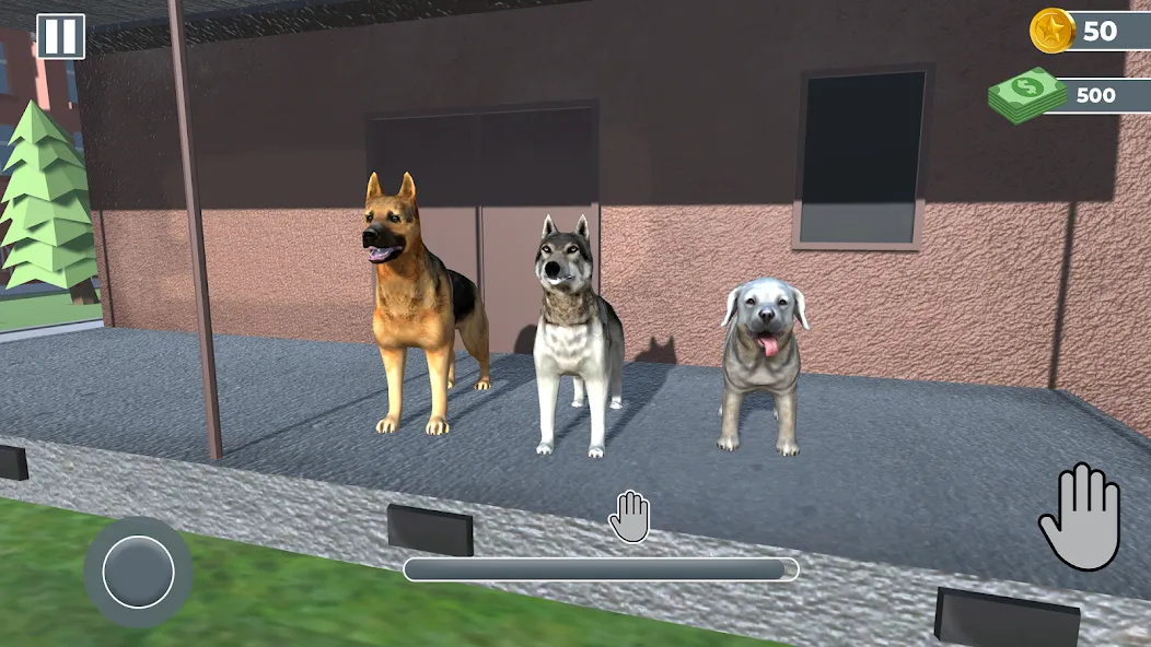 Animal Shelter: Pet Rescue 3D  [МОД Бесконечные деньги] Screenshot 3