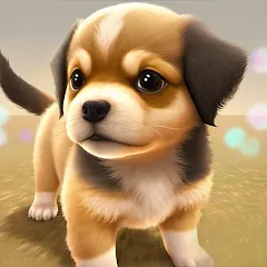 Взломанная Dog Town: Puppy Pet Shop Games (Догтаун)  [МОД Бесконечные монеты] - полная версия apk на Андроид