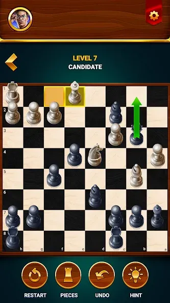 Chess - Offline Board Game  [МОД Mega Pack] Screenshot 5