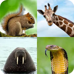 Взлом Animal Quiz: Guess the Animal  [МОД Бесконечные деньги] - стабильная версия apk на Андроид