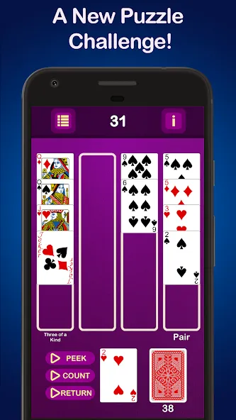 Puzzle Poker Joker's Wild  [МОД Unlocked] Screenshot 1