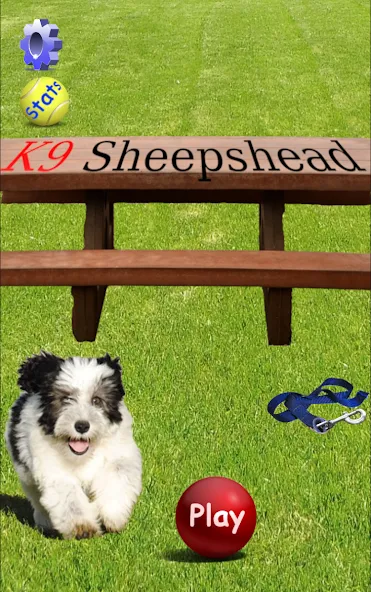 K9 Sheepshead (Schafkopf) (Шипсхед)  [МОД Меню] Screenshot 1