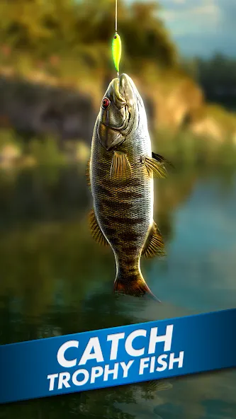 Ultimate Fishing! Fish Game  [МОД Бесконечные монеты] Screenshot 1