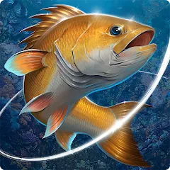 Скачать взломанную Fishing Hook  [МОД Mega Pack] - стабильная версия apk на Андроид