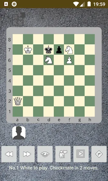 chess problems (шахматные задачи)  [МОД Unlimited Money] Screenshot 2