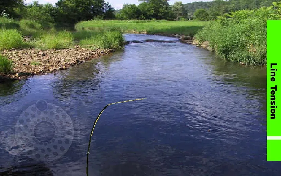 Fly Fishing Simulator (Флай Фишинг Симулятор)  [МОД Бесконечные деньги] Screenshot 4