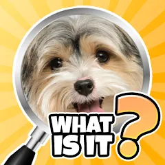 Скачать взломанную What is it? Pics Trivia Quiz  [МОД Mega Pack] - последняя версия apk на Андроид