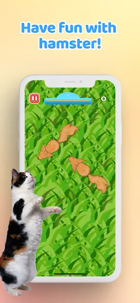 Games for Cat－Toy Mouse & Fish  [МОД Unlocked] Screenshot 5