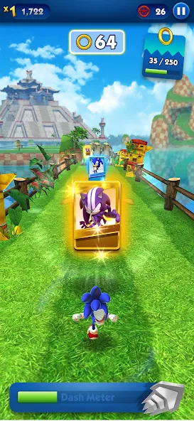 Sonic Dash - Endless Running (Соник Дэш)  [МОД Unlocked] Screenshot 4