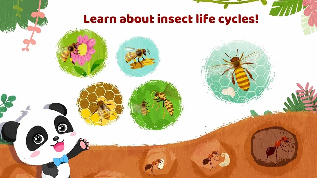 Little Panda's Insect World  [МОД Бесконечные деньги] Screenshot 4