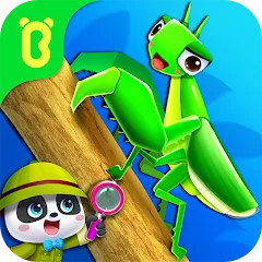 Скачать взлом Little Panda's Insect World  [МОД Бесконечные деньги] - стабильная версия apk на Андроид