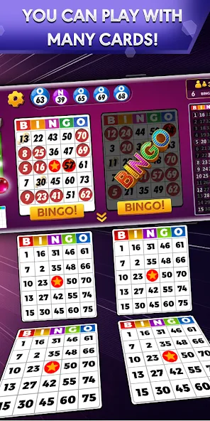 Bingo - Offline Bingo Game  [МОД Unlocked] Screenshot 1