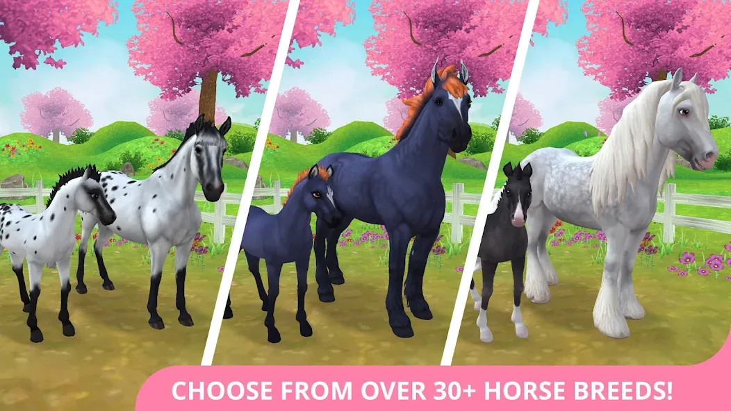 Star Stable Horses (СТар Стабл Хорсес)  [МОД Много монет] Screenshot 1