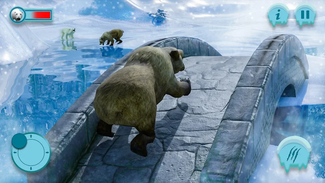 Polar Bear Family Survival  [МОД Бесконечные монеты] Screenshot 1