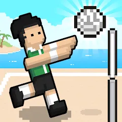 Скачать взлом Volley Random (Воллей Рэндом)  [МОД Все открыто] - стабильная версия apk на Андроид