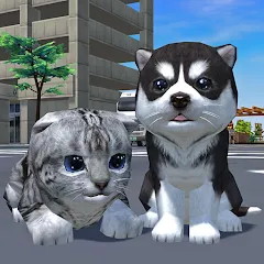 Взлом Cute Pocket Cat And Puppy 3D (Кьют Покет Кэт Энд Паппи 3Д)  [МОД Mega Pack] - последняя версия apk на Андроид