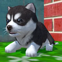 Скачать взлом Cute Pocket Puppy 3D (Сьют Покет Паппи 3Д)  [МОД Menu] - стабильная версия apk на Андроид