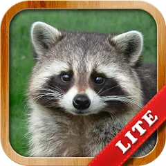 Скачать взлом Animals for Kids  [МОД Меню] - стабильная версия apk на Андроид