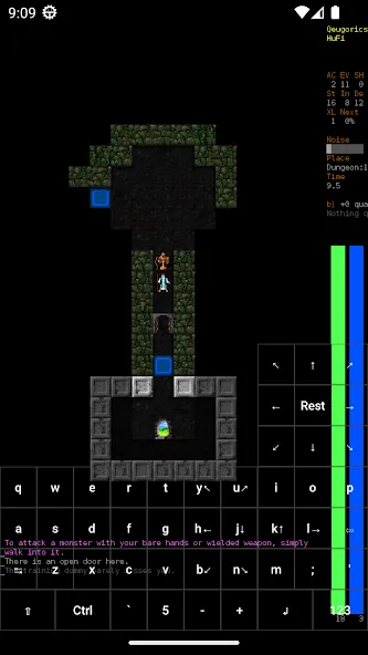 Dungeon Crawl Stone Soup (Данжен Кролл Стоун Суп)  [МОД Меню] Screenshot 3